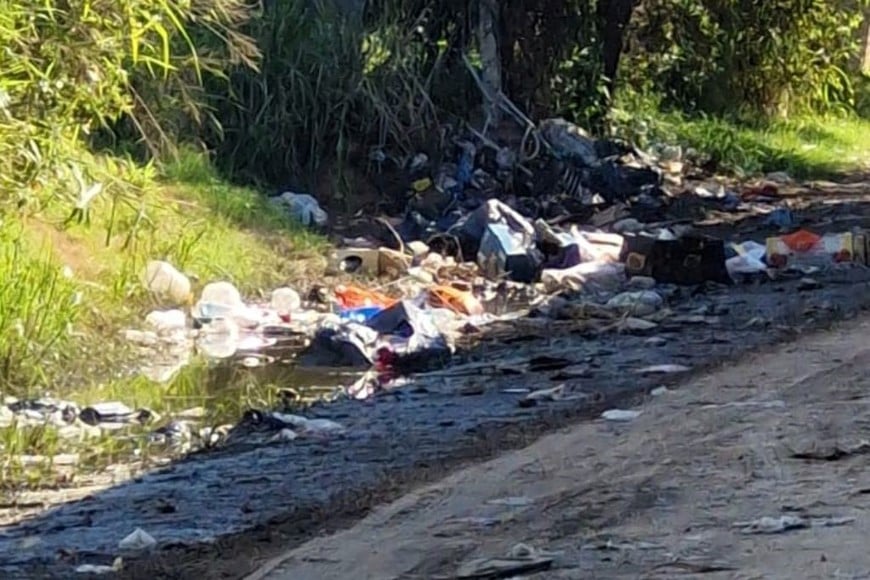 Vecinos de Colastiné denuncian que la recolección de residuos se realiza solo algunas veces al mes.
