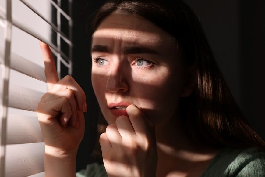 Indicadores de la enfermedad son aislamiento progresivo, desorganización del pensamiento y del discurso