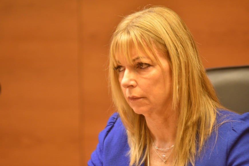 Declaró en tribunales: “Alcancé a sacar mi arma y apreté el gatillo”, dijo el arbolito acusado de matar a un ladrón