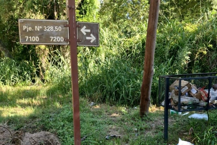 El basural se agrava los días de lluvia, cuando el agua arrastra residuos hacia las viviendas.