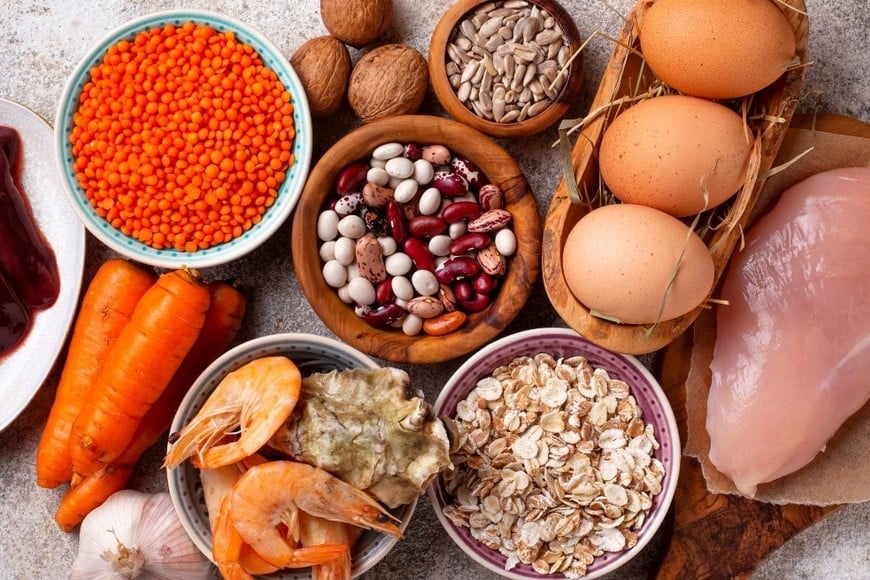 Cómo el organismo gestiona la energía que proviene de los alimentos