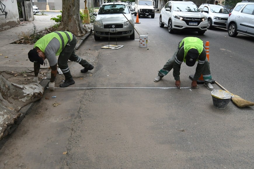 Cada dársena tendrá un número y eso permitirá "alquilarla" al estacionar. Se hará la demarcación con una pintura especial. Foto: Guillermo Di Salvatore