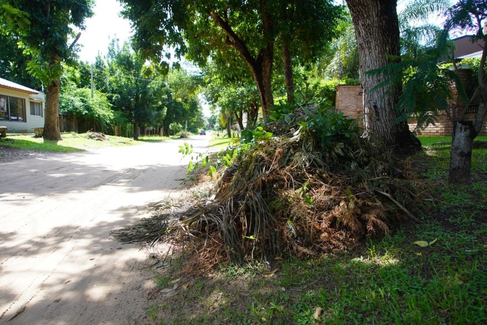 Vecinos alertan por asentamientos e inseguridad en el terraplén Garello