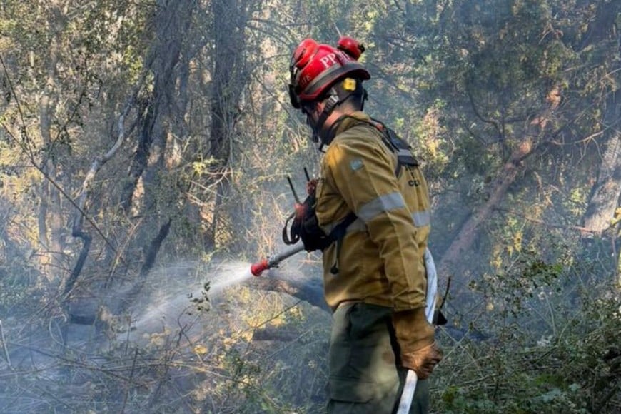 Brigadistas, con apoyo aéreo y terrestre, mantienen un operativo intenso para consolidar la contención