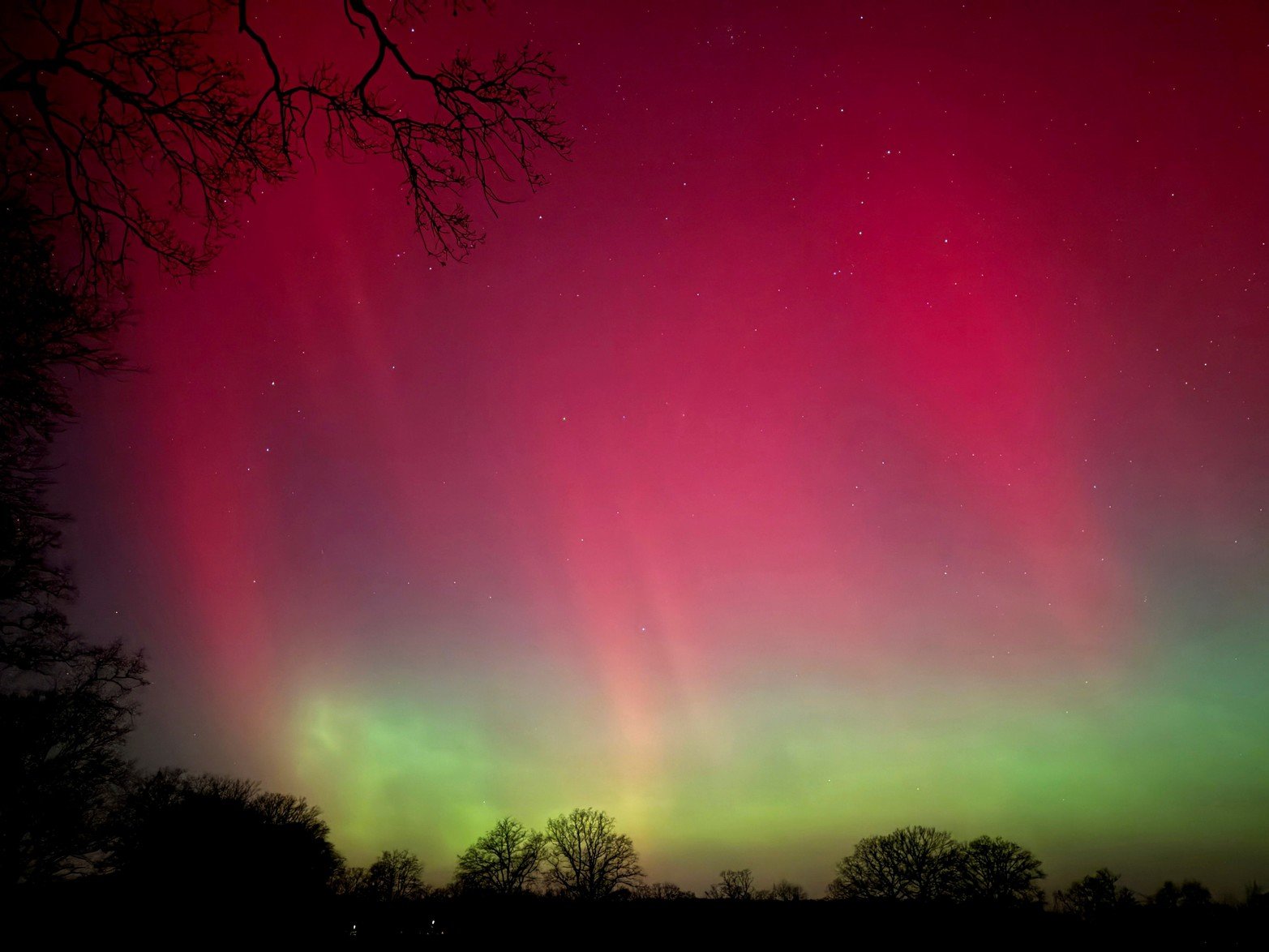 La aurora boreal del 19 de enero iluminó los cielos con tonos verdes, rosas y rojos en regiones donde habitualmente no se observa este fenómeno natural.