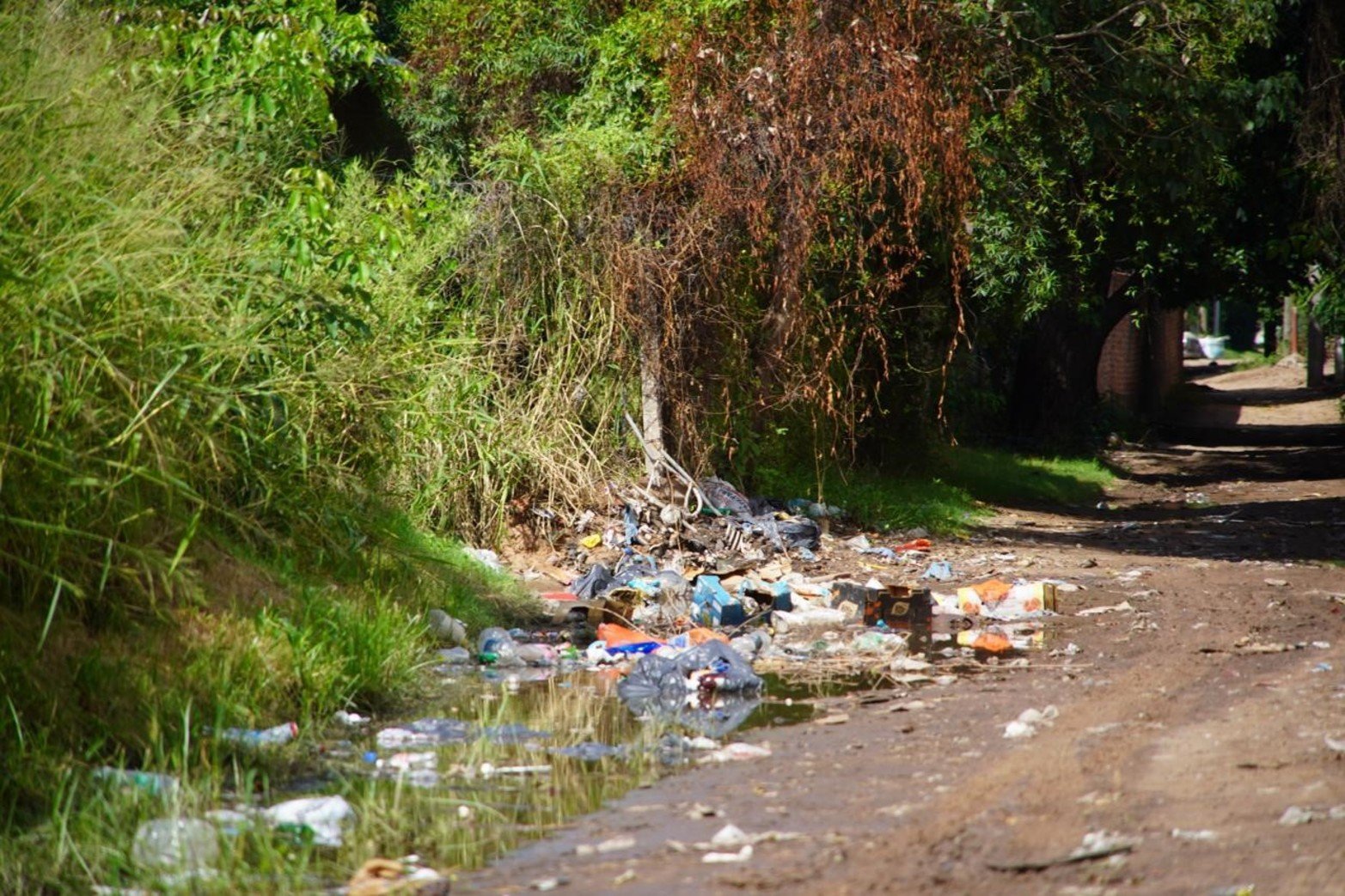 Si bien se realizaron obras en un tramo del terraplén, advierten que gran parte de la defensa sigue sin mantenimiento.