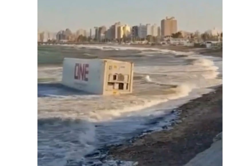 Se encontraba en un semirremolque en el marco de las tareas de carga de pescado congelado