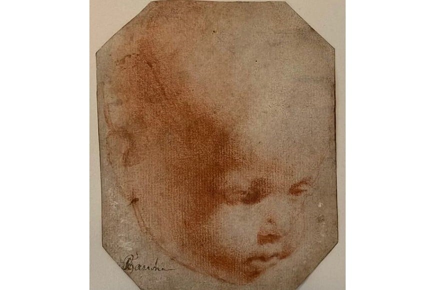 En el dibujo analizado se detectó ADN de naranjo, posiblemente vinculado a los jardines de la familia Medici.