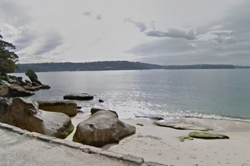 Los ataques de tiburón son poco frecuentes pero las condiciones del agua pueden haber incrementado el riesgo