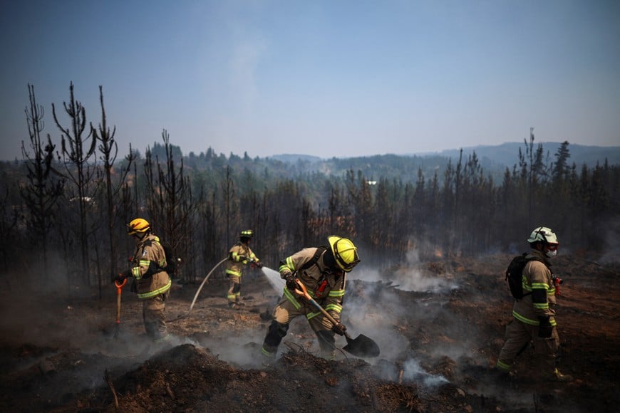 Firefighters work to extinguish a forest fire in the Biobio region, where multiple wildfires have prompted emergency evacuations, in Florida, Chile, January 21, 2026. REUTERS/Adriano Machado
