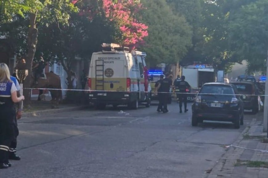 Las causas del inicio del fuego aún son desconocidas.