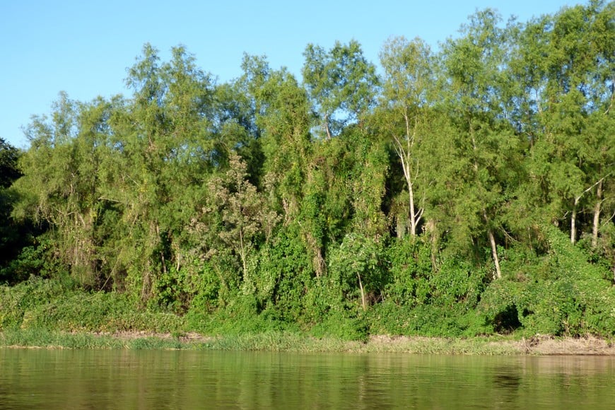Las orillas verdes del Jaauka. Pablo Capovilla.