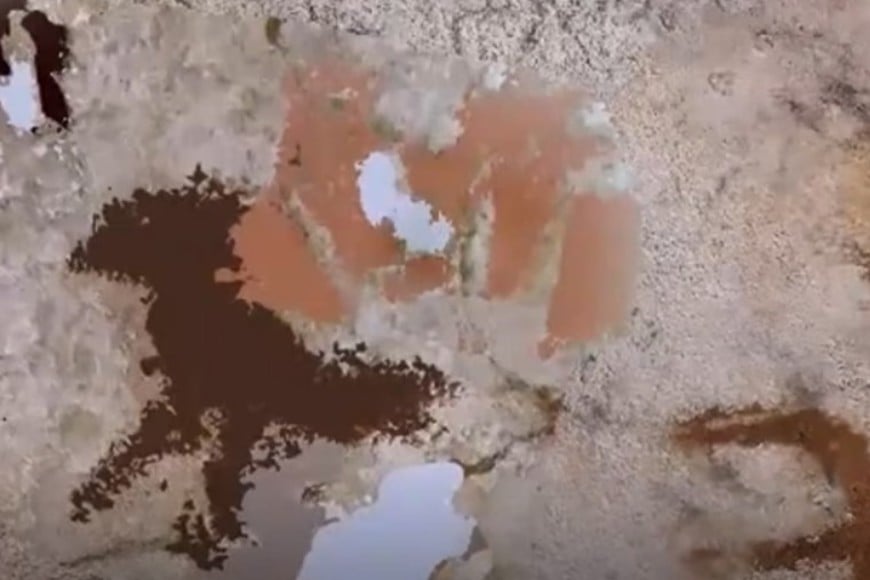 Imagen mejorada que muestra los dedos estrechos y puntiagudos de la plantilla.