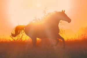 Prepararse para el Año Nuevo con limpieza y planificación potencia la energía positiva del año.