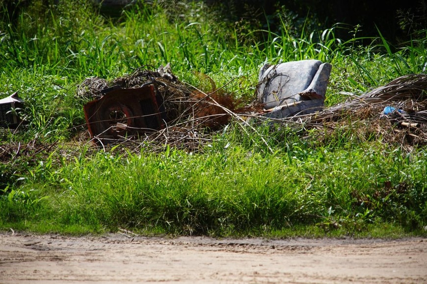 Foto: Fernando Nicola