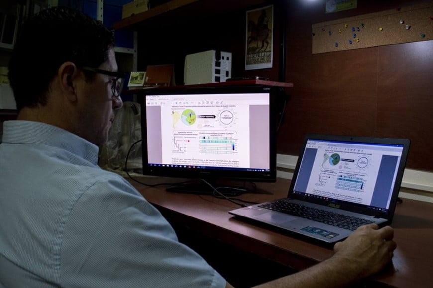 Miguel Delgado, investigador del CONICET en el Museo de La Plata. Fotos: CONICET Fotografía/R. Baridón.