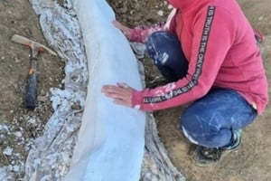 Este tipo de hallazgos permite a los científicos reconstruir aspectos de la vida prehistórica en la región