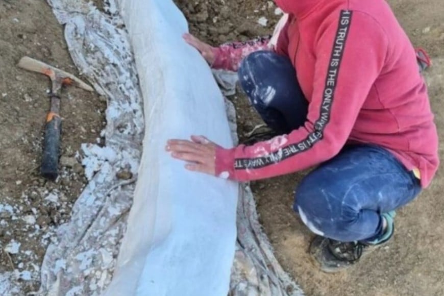 Este tipo de hallazgos permite a los científicos reconstruir aspectos de la vida prehistórica en la región