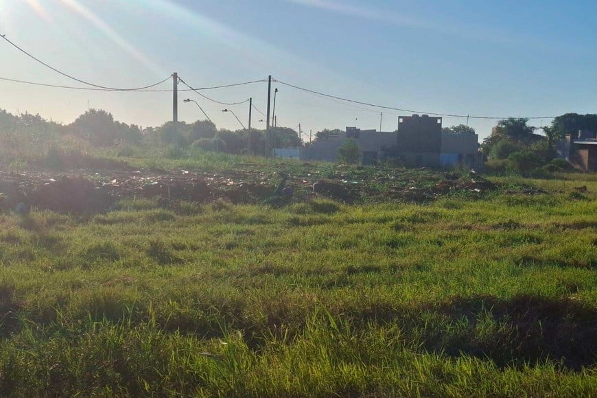 Yuyos y basura, un problema que exponen vecinos santotomesinos.