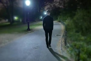 "El amigo se ofreció a llevarme a casa en su auto. Preferí caminar. Quince o veinte cuadras, no es una caminata demasiado larga. Y además la noche invitaba a hacerlo (...)".