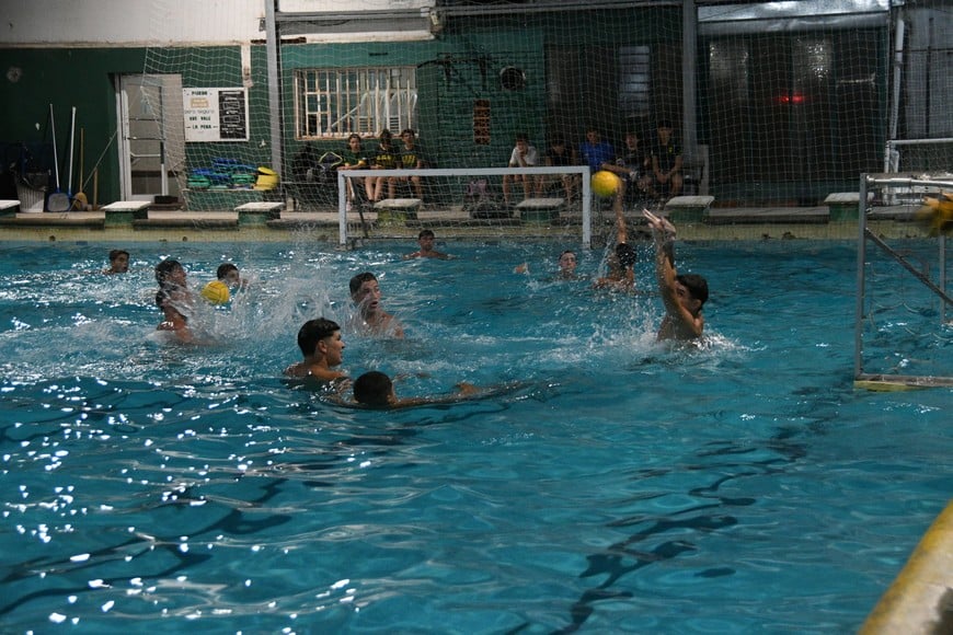 La preselección juvenil argentina de waterpolo entrena en Regatas. Crédito:  Manuel Fabatía.