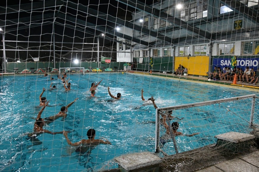 Entrenamientos intensivos en la pileta del Verde y Oro. Crédito:  Manuel Fabatía.