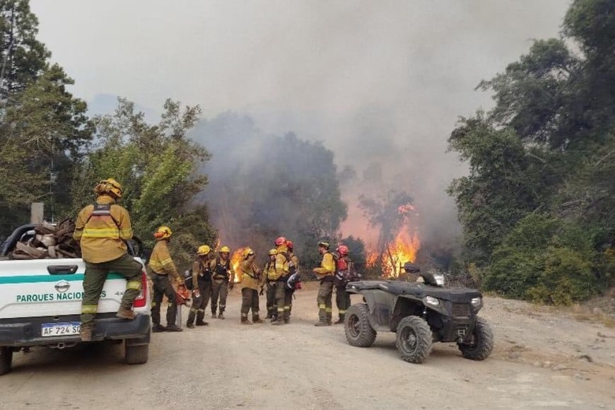 Brigadistas, bomberos y equipos especializados trabajan en condiciones adversas por altas temperaturas