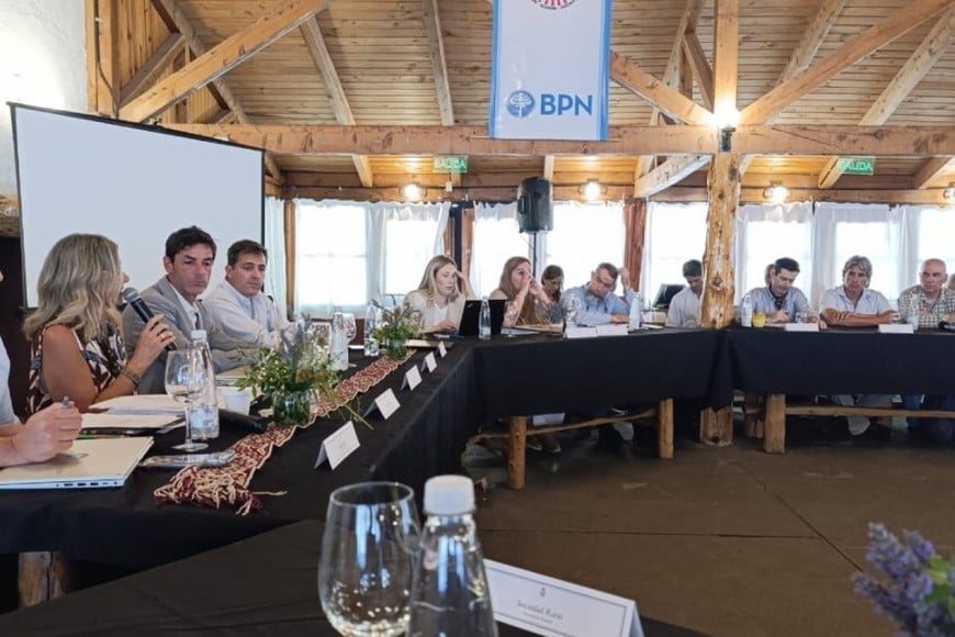 SENASA impulsa el trabajo público-privado en la Mesa Consultiva Pecuaria Patagónica