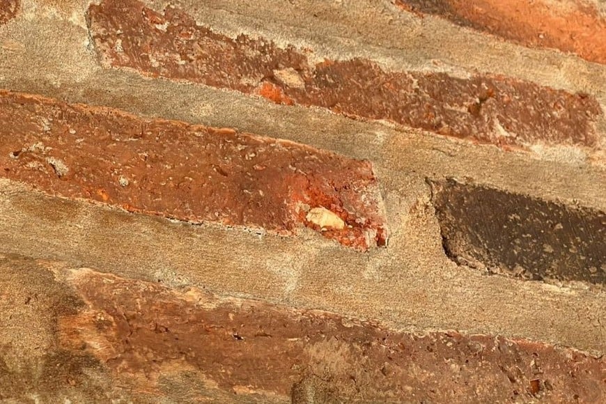 baleada en san josé del rincón
