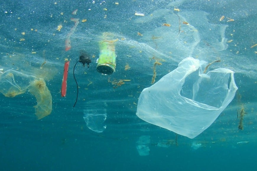 Los nanoplásticos forman parte de la categoría de los microplástico