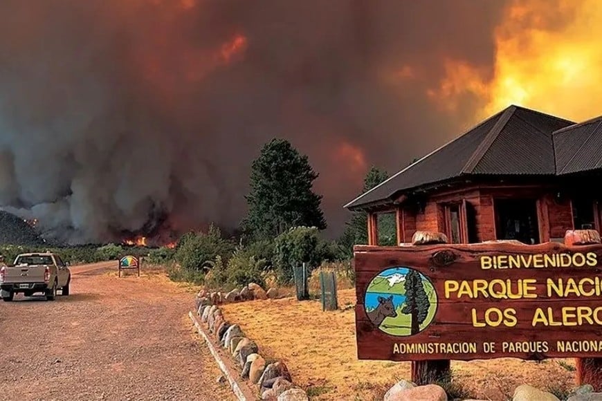 La investigación se orienta a examinar la actuación de los funcionarios públicos que tenían responsabilidad en la gestión y dirección del combate del fuego