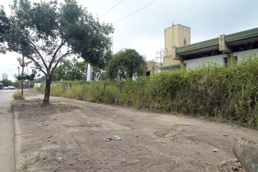 Tan solo se puede desmalezar y limpiar el sector de veredas del predio, mientras que en su interior hay yuyos y abandono. Guillermo Di Salvatore.