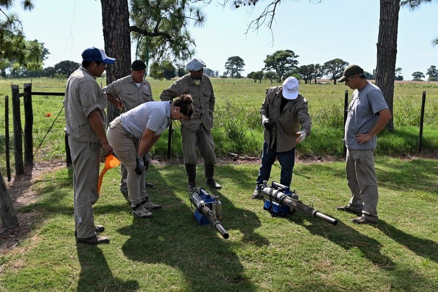 Salud y Producción articulan acciones preventivas frente a la proliferación de mosquitos en Colonia Mascías