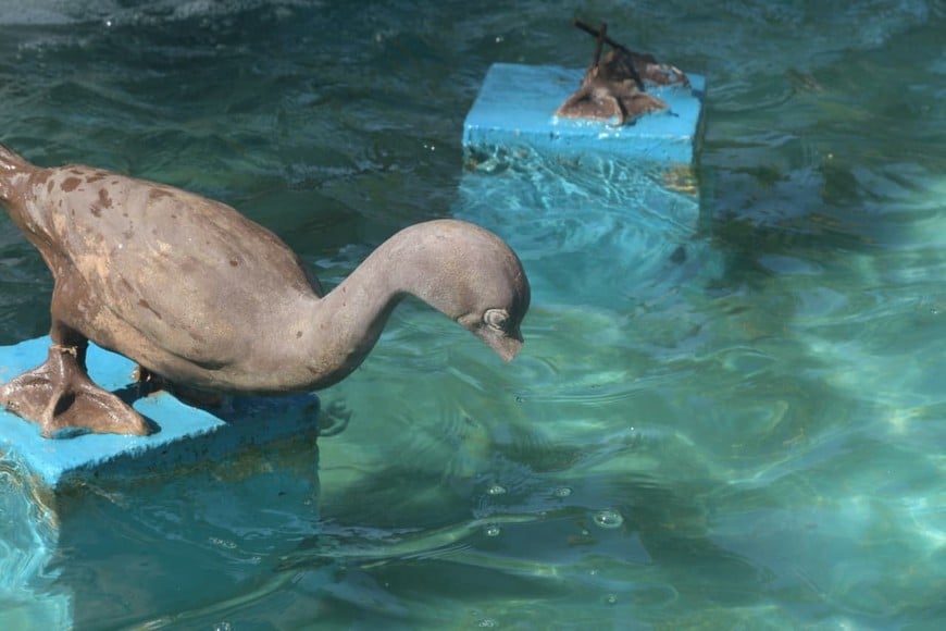 Las réplicas de biguás de la plaza 25 de Mayo y el que falta. Guillermo Di Salvatore.