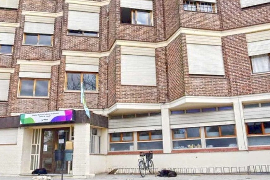 El estremecedor caso sucedió en Balcarce.