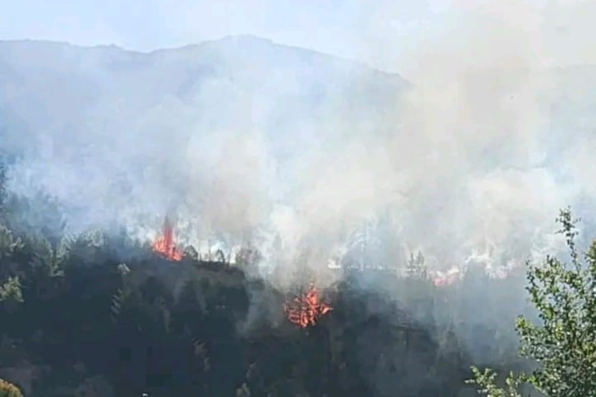 Imagen que sirve para visibilizar en parte la angustiante situación que se vive en el sur argentino, con grandes focos de incendios en Cholila y Epuyén, provincia de Chubut, Patagonia.