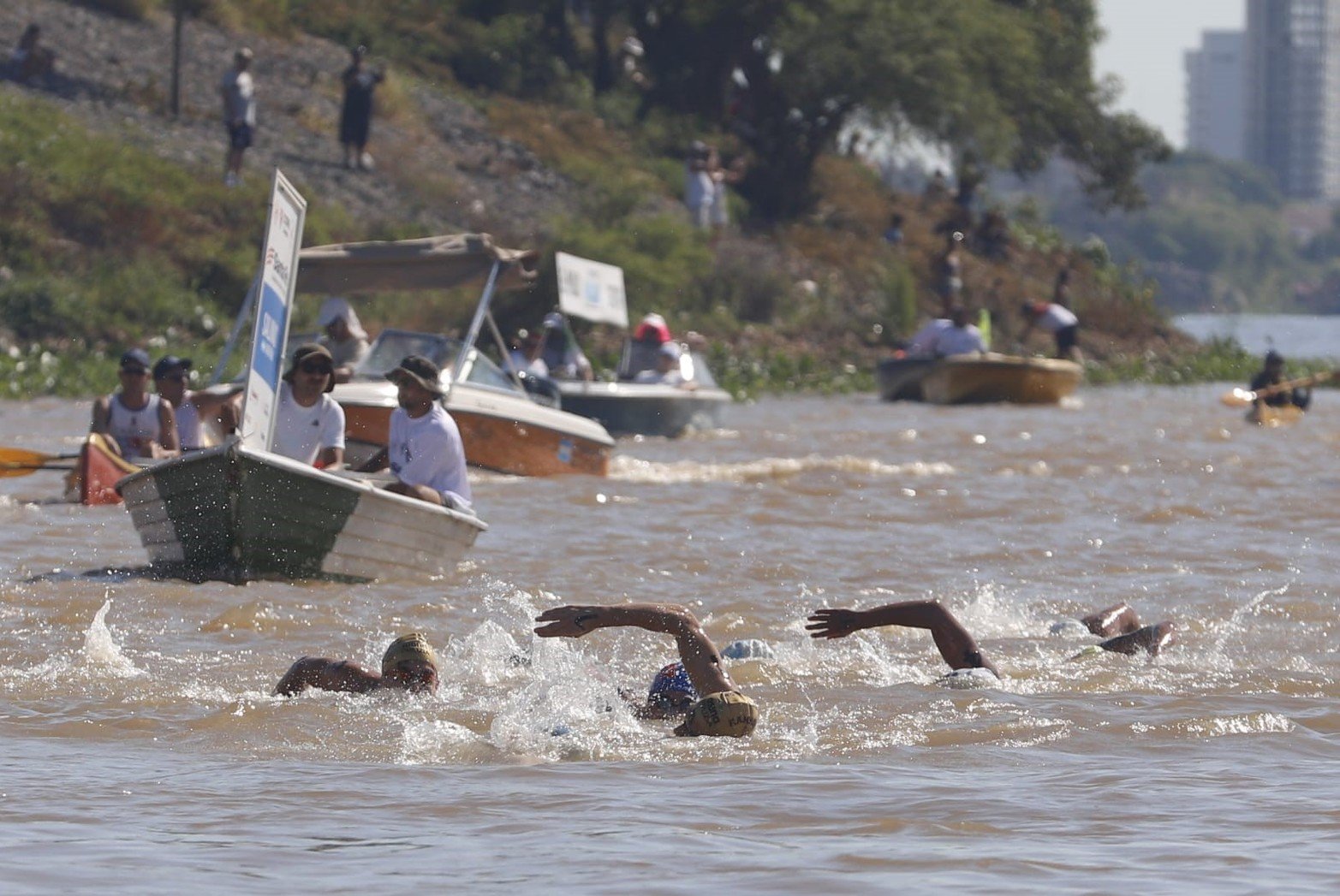 Desde el agua: las mejores fotos de los nadadores de la Maratón Santa Fe-Coronda.