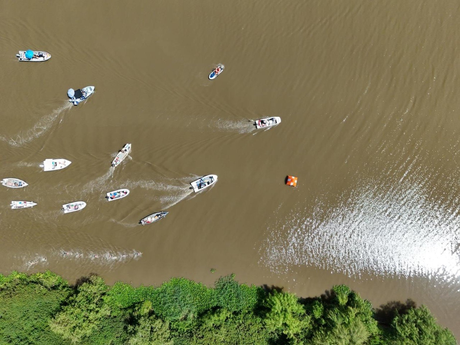 Maratón Santa Fe-Coronda: así pasaron el puente carretero los nadadores. Foto: Fernando Nicola