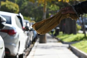 El cuidado de autos particulares en la vía pública no está permitido en la capital provincial.

Mauricio Garín (archivo).