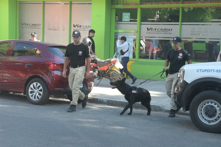 Allanamiento en Vía Cargo encomiendas