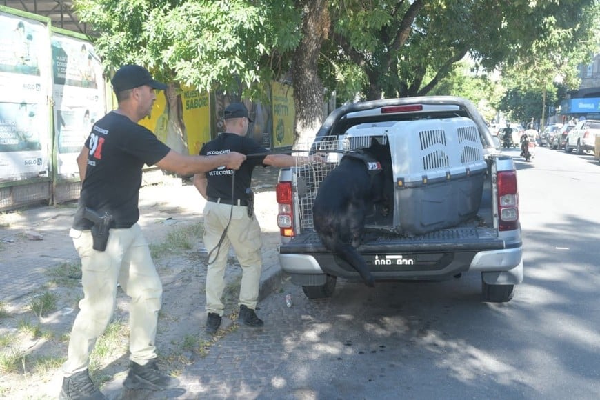 Allanamiento en Vía Cargo encomiendas