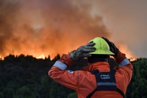 Patagonia en emergencia. Crédito: Reuters.
