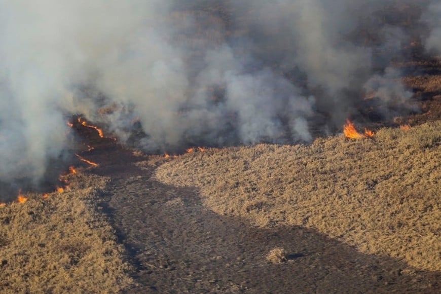 El Delta del Paraná también se consume en silencio. Foto: gentileza.