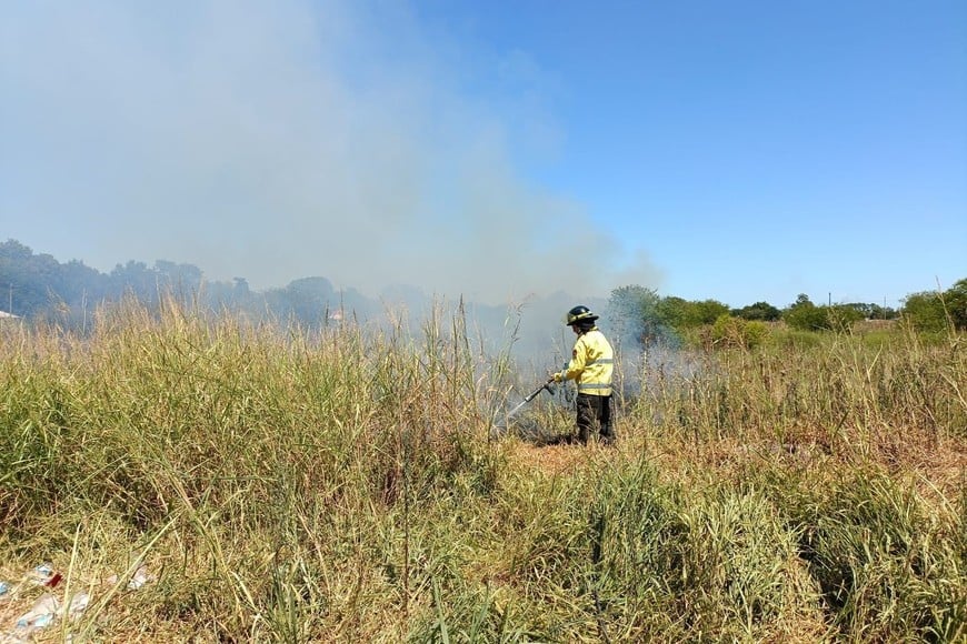 Quema pastizales área metro