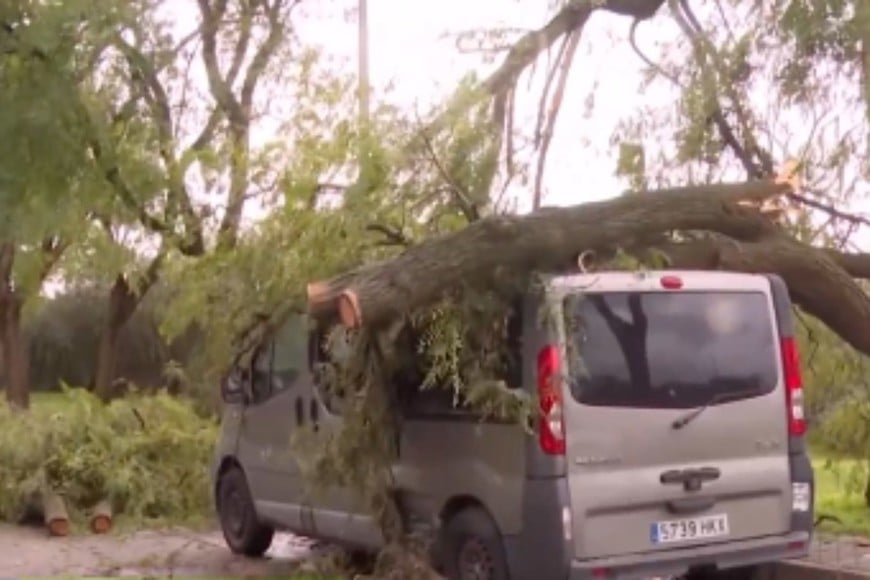Las fuertes condiciones meteorológicas que se registran desde la madrugada de este jueves 5 de febrero