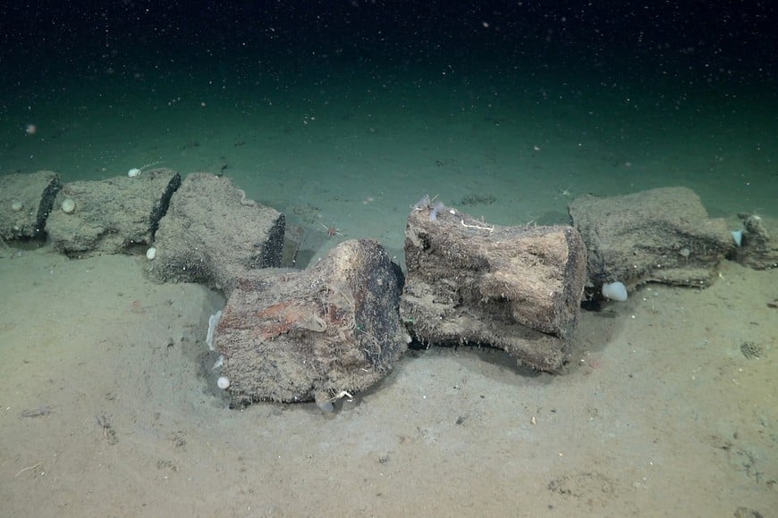 Rocas presentes en el fondo del mar. Crédito: Schmidt Ocean Institute.