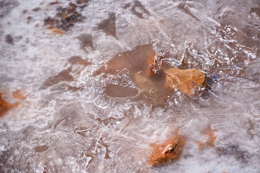 Greenpeace rechazó el intento de modificar la Ley de Glaciares y advirtió riesgos para las fuentes de agua dulce. Foto: Martin Katz / Greenpeace