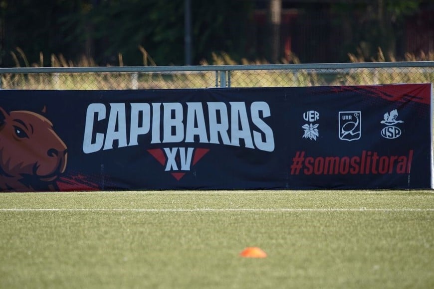 Capibaras XV, #somoslitoral.