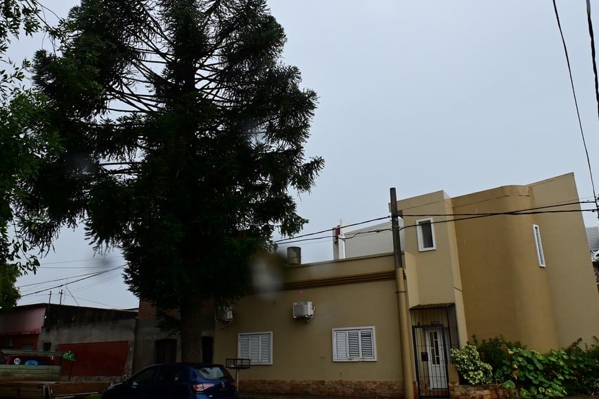 Uno de los ejemplares permanece en pie. Flavio Raina.