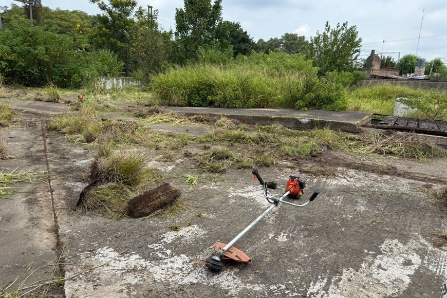 Predio del barrio Chalet tras el inicio de la limpieza. Crédito: Leonardo Botta.